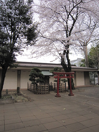 桜 (4)