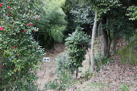 河和城 - 3