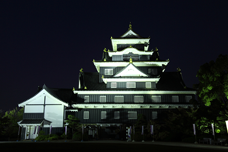岡山城ライトアップ - 2
