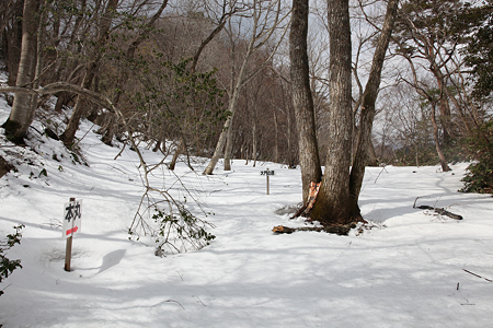 日山城（日野山城） - 05