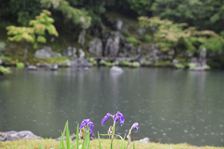 天龍寺 - 06