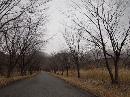 DSCN0534