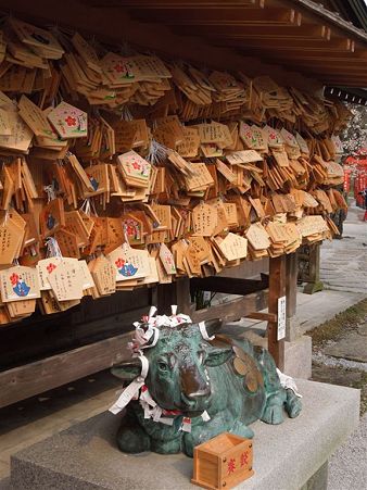 DSCN0937