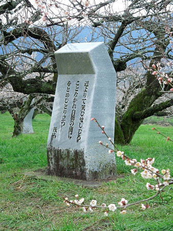 DSCN1136