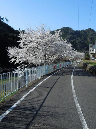 DSCN1650