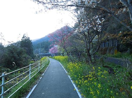 DSCN1749