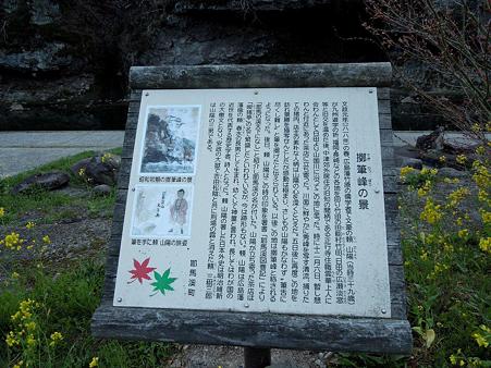 DSCN1784