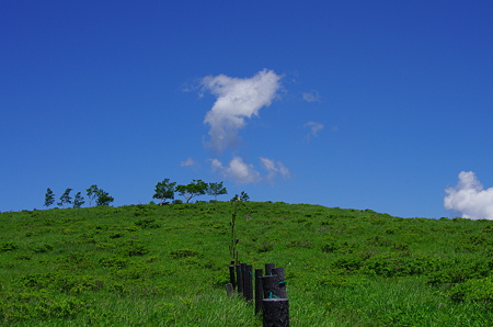IMGP1855