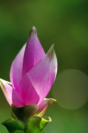 IMGP2867