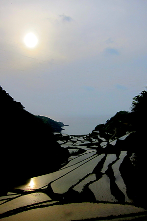 浜野浦の棚田
