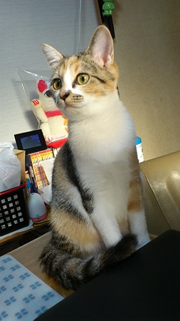 1週間有難うね!