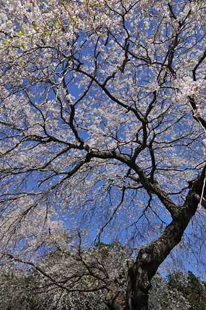 富士フィルム傍7