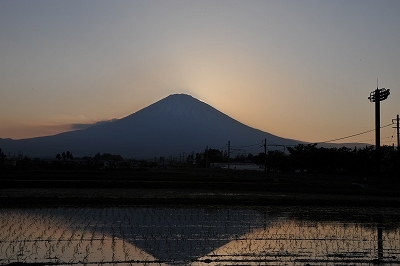 パレット御殿場1