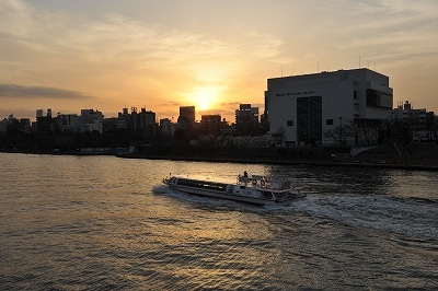 桜橋よりの夕暮れの台東リバーサイドスポーツ1