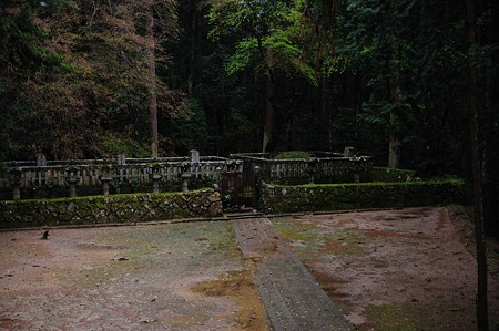 1104271540_DSC_0251