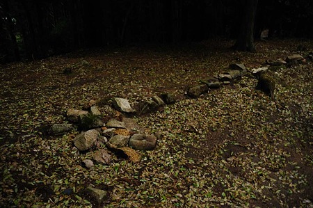 1104271605_DSC_0329