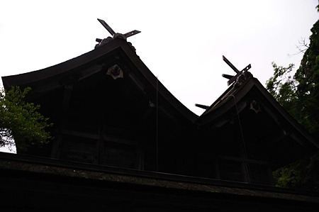1106220518_DSC_0604