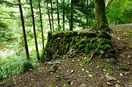 1106230931_DSC_1874