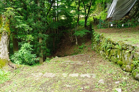 1106231225_DSC_2284