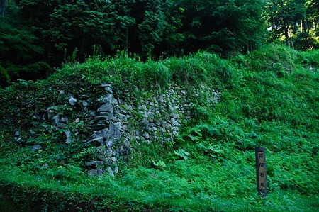 1107120621_DSC_5207