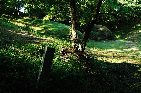1107120717_DSC_5353