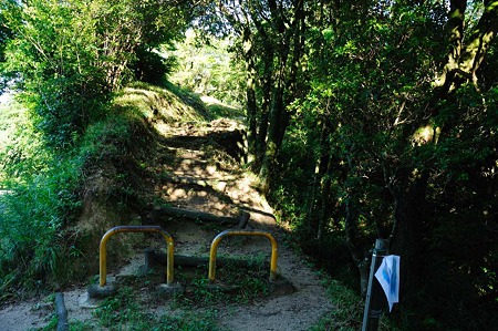 1107120729_DSC_5428