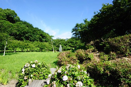 1107120842_DSC_2916