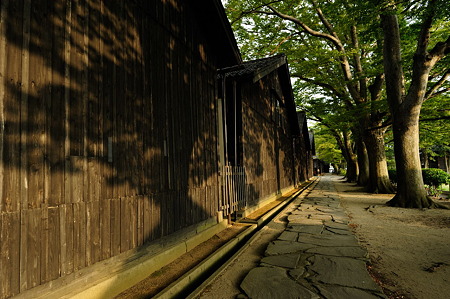 1108131728_DSC_5038