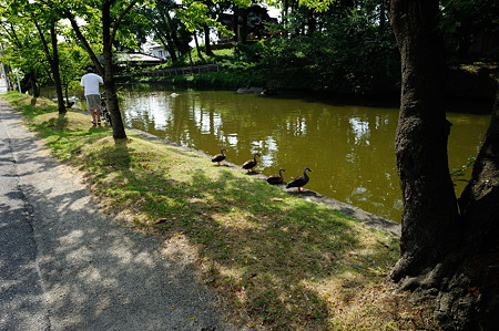 1108140844_DSC_5133