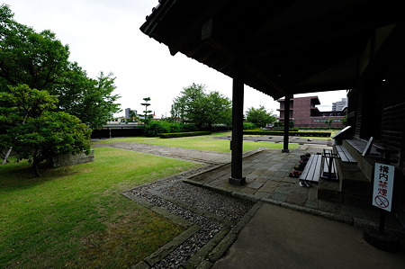 1108141025_DSC_5405