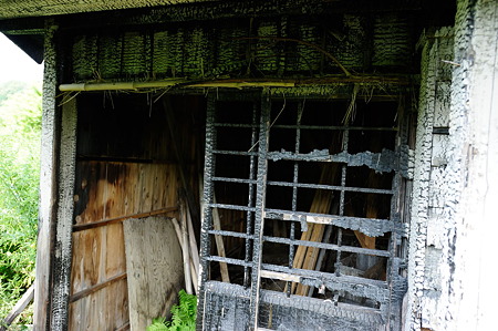 1108141418_DSC_5909