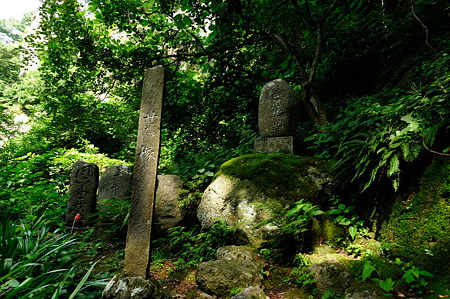1108160911_DSC_7030