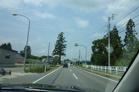 1108171237_P1800595