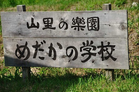 1009181450_DSC_0554