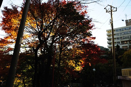 1011230732_DSC_4110