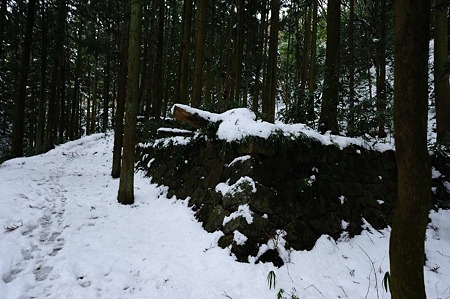 1101021225_DSC_7150