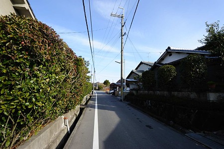 1101030955_DSC_7760