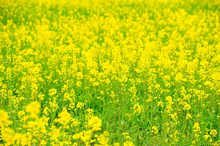 1104271037_DSC_9967