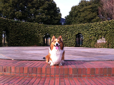 写真 4