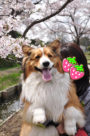 写真 1