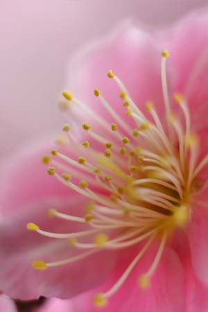 nex511030707