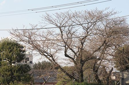 高橋屋さん2