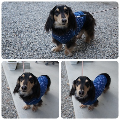 20120212 002(MARO)