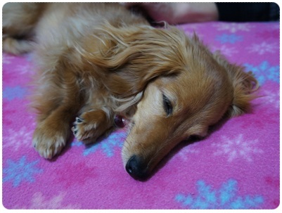 20120420 JURI