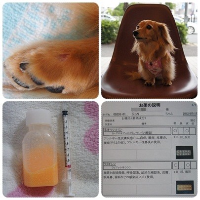 20120715 湿疹で病院へ