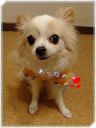 あった♪