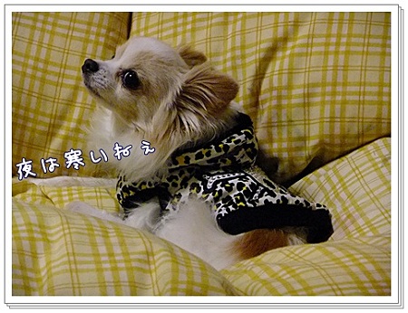 寒い