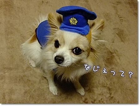 なぜ