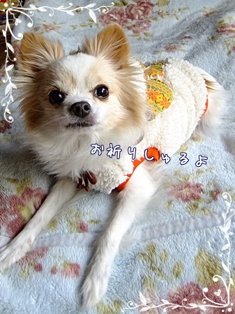 お祈り
