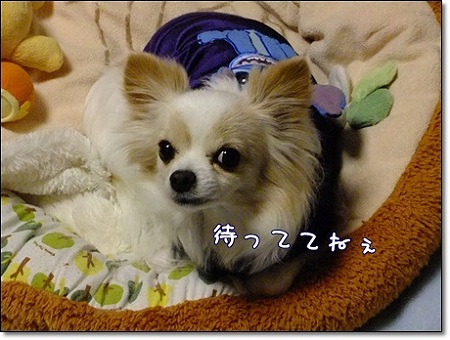 待ってね
